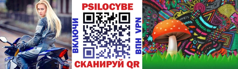 Галлюциногенные грибы GOLDEN TEACHER кракен ссылки Опочка
