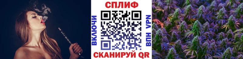 Шишки марихуана Amnesia  Опочка 